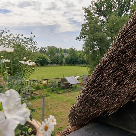 Het Grote Paard Lägenhet Havelte Exteriör bild