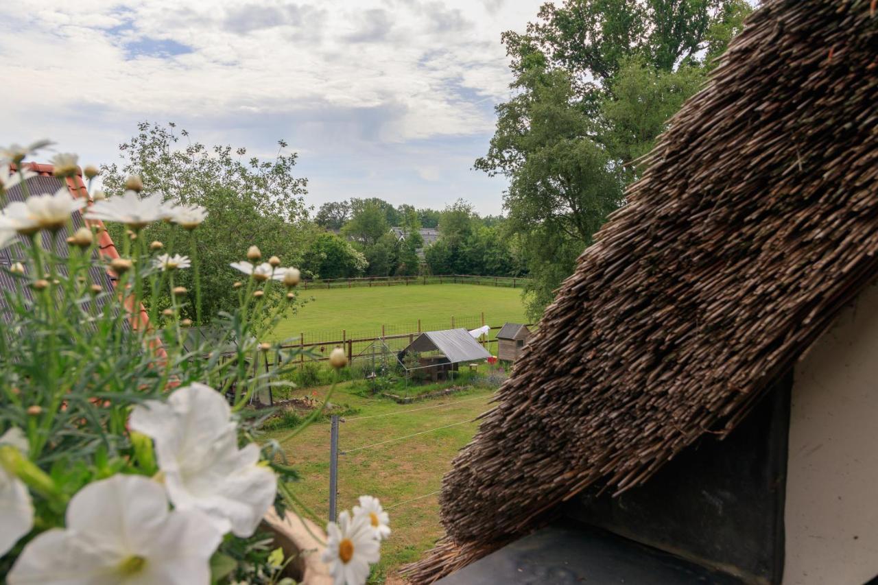 Het Grote Paard Lägenhet Havelte Exteriör bild