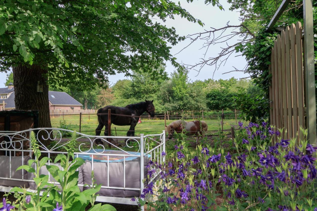 Het Grote Paard Lägenhet Havelte Exteriör bild