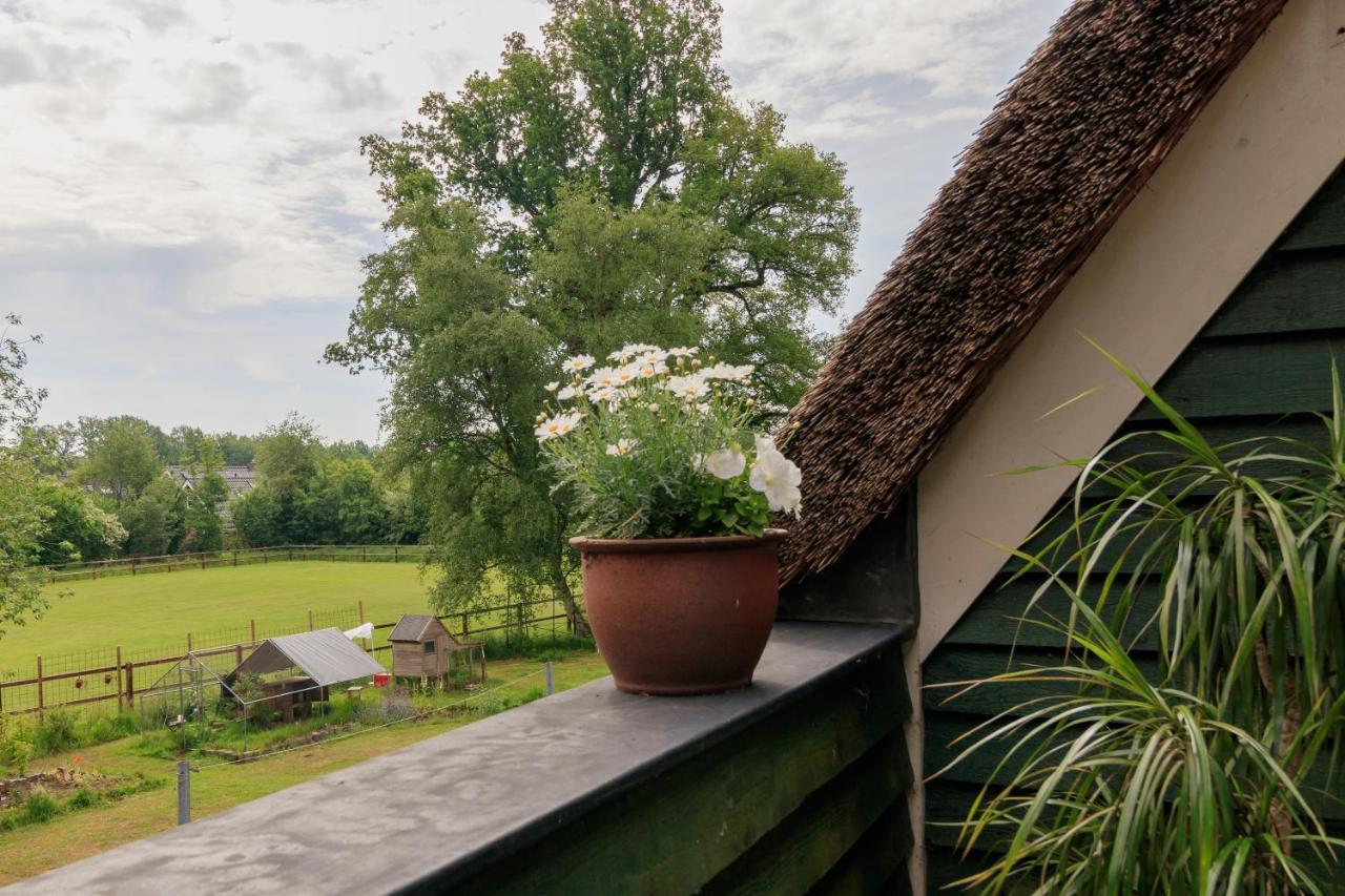 Het Grote Paard Lägenhet Havelte Exteriör bild